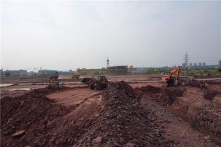 廣安市岳池新聞頭條最新,聚焦岳池發(fā)展新動態(tài)，共話鄉(xiāng)村振興新篇章