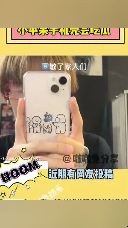 吃瓜手機(jī)殼iphone,吃瓜手機(jī)殼iPhone，個性十足彰顯個性