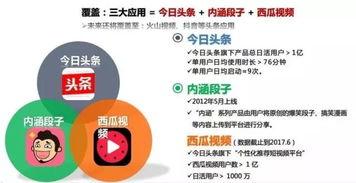 頭條推廣產(chǎn)品轉(zhuǎn)化,揭秘高效轉(zhuǎn)化策略與成果展示