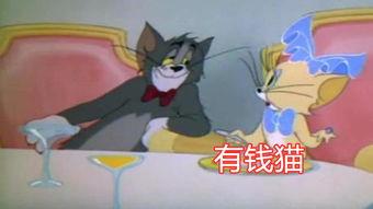 貓和老鼠s2爆料視頻,經(jīng)典角色新篇章，笑料百出引期待