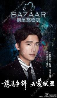 明星慈善夜 下載,明星慈善夜盛大舉行，共筑美好未來”