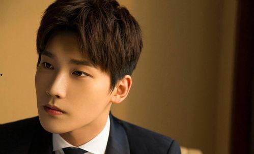 男街頭網(wǎng)紅歌手排行,揭秘男網(wǎng)紅歌手的火熱風(fēng)采