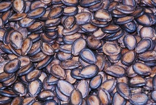 蛇信子吃瓜群,揭秘網(wǎng)絡(luò)社交圈的趣味與爭(zhēng)議