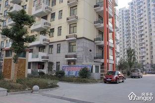 萊茵河畔的頭條,聚焦最新動態(tài)，解碼歐洲經(jīng)濟(jì)脈搏