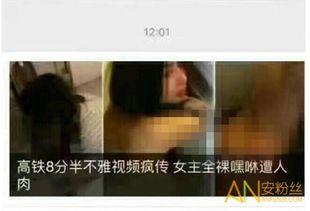 高鐵8分半視頻在線(xiàn)觀(guān)看,揭秘中國(guó)高鐵的飛速發(fā)展歷程